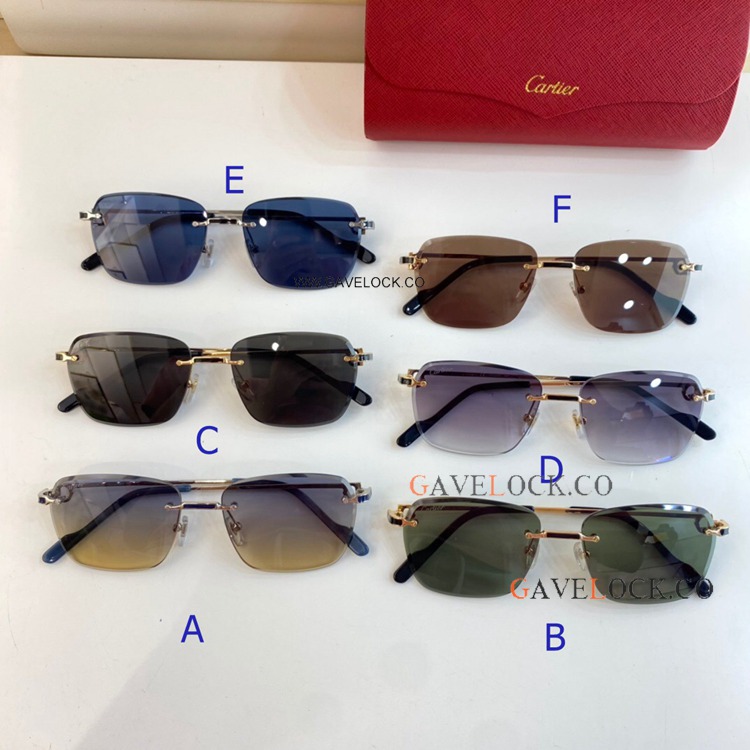 Première de Cartier ct0343 Glasses Rimless Sunglasses